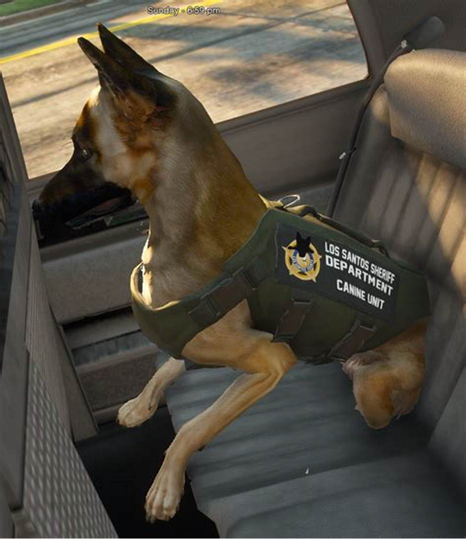 K-9 Unit